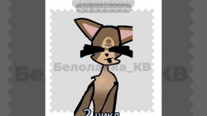 в каком порядке надо читать котов-воителей?#белолапая