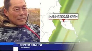 Оленеводы осваивают Камчатку 28 01 2019