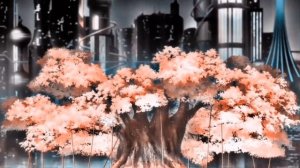 Милый во франксе|koluchek