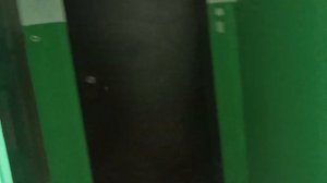 Осматриваю подъезд Октябрьское шоссе 37, подъезд 5