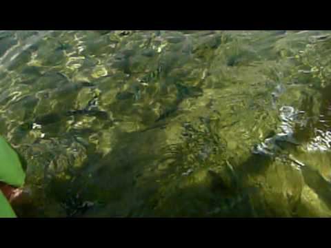 Океанариум в Эйлате