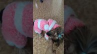 Когда хозяйка вяжет! Вязанный комбинезон!