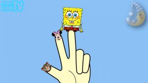 🐱Talking Tom | peppa Pig | SpongeBob | Mickey Mouse and Angry Birds Lollipop Finger Family