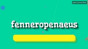 HOW TO PRONOUNCE FENNEROPENAEUS?