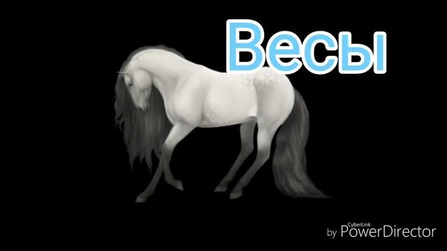 Какая ты лошадь по знаку зодиака? смотреть онлайн