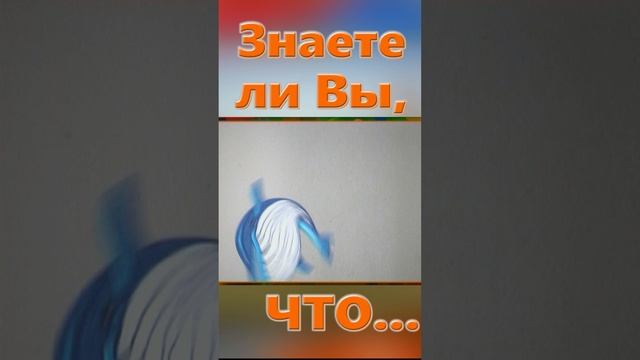 Знаете ли вы Что? Кит