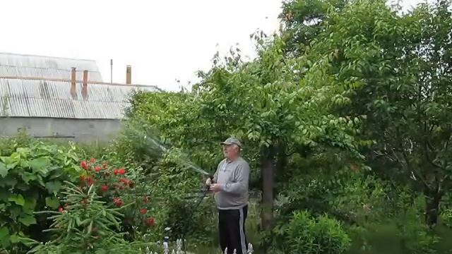 Шланг с которым хочется поливать. смотреть онлайн