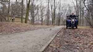 RuTrike D4 Грузовой электрический трицикл - smart8.by