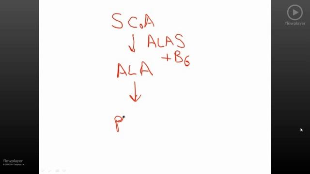 Pathoma USMLE - V ГЛАВА - 3.Микроцитарная анемия 2/2