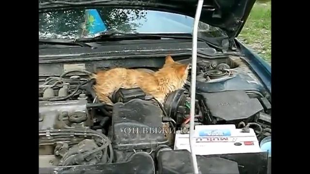 Памятка автомобилисту! смотреть онлайн