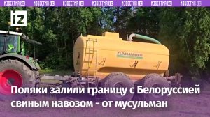 Свиной навоз разлили польские фермеры на границе с Белоруссией - от мигрантов из мусульманских стран