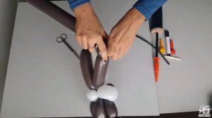 Кошечка Котик из шаров. Мастер класс. Balloon cat. Balloons. DIY. Hand made. How make