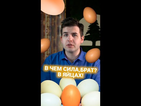 ЭколайфХак. Какая упаковка экологичнее?