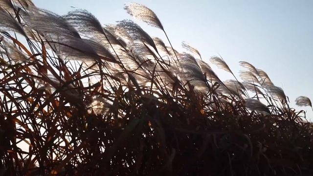 Мне стало нравиться молчать /три стихотворения/