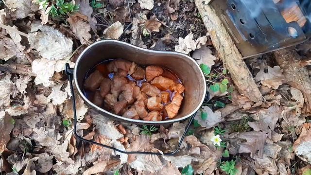 Плов в лесу на печке щепочнице, кофе. Поход выходного дня ПВД смотреть онлайн