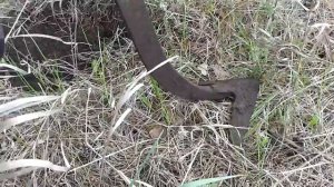 Коротенький коп. Самарская область.