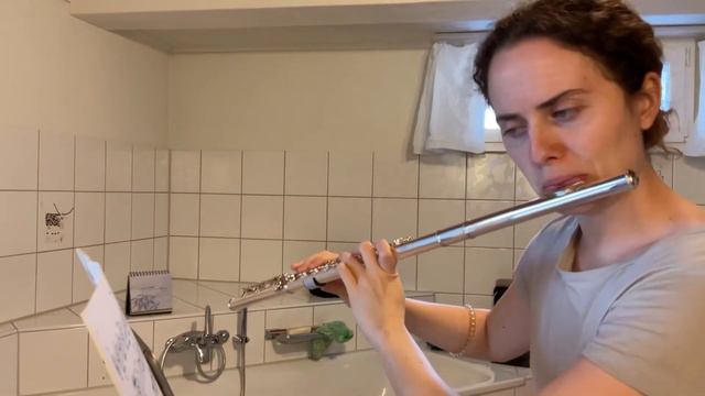 Flöte Vorspiel Beethoven 2 смотреть онлайн