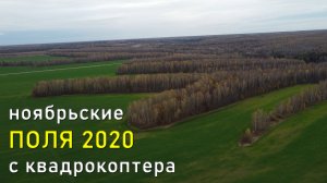 Ноябрьские поля 2020 / November fields 2020