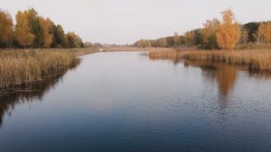 Лови  всю Осень Карася Карпа Леща. АКТИВАТОР КЛЁВА БЕТАИН  рыба просто будет сходить с ума.