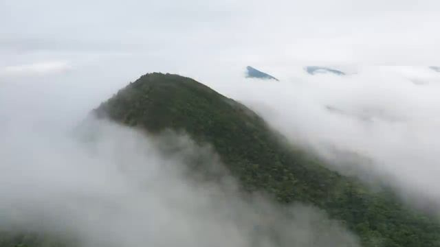 22 мая день Николая Чудотворца. Что нельзя делать. Народные традиции и приметы 22 мая. Молитва смотреть онлайн