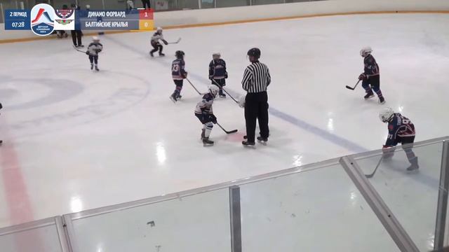 Форвард 14 - Балтийские Крылья 14 / Детская Хоккейная Лига / дивизион Д смотреть онлайн