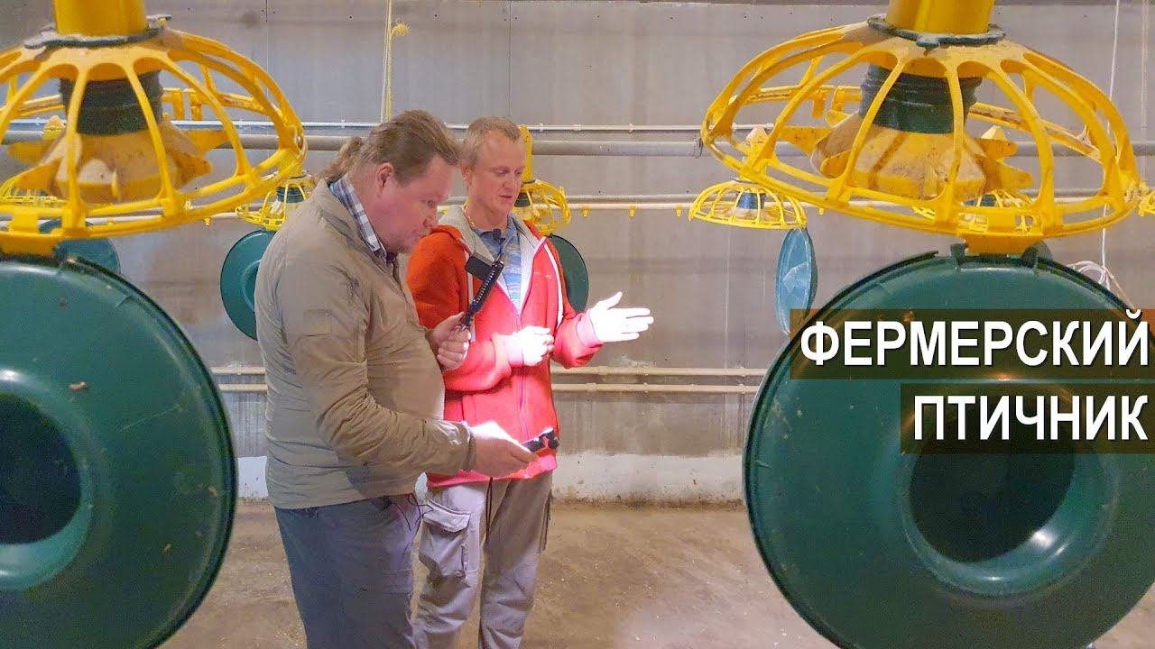 Секреты фермера. Оборудование современного помещения для содержания 1000 голов  бройлера.