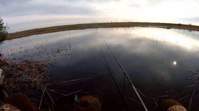 Донская Царица. 20.05.2018 смотреть онлайн
