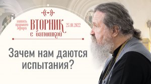 Дух захватывает, когда человек может так жить! Вторник с Батюшкой. Беседа с отцом Андреем 25 октября