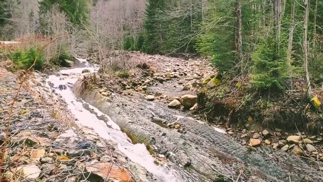 Карпаты 2021 | Водопад Женецкий Гук | Резиденция экс-президента В.А. Ющенко | Ивано-Франковская обл смотреть онлайн