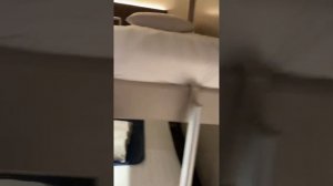 Обзор внутренней каюты нового лайнера #MSC World Europa. Ведущая Анна Тетерюк.