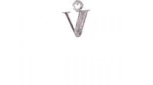 14K White Gold Polished .01ct Diamond Initial V Charm