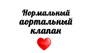 Нормальный аортальный клапана на УЗИ сердца
