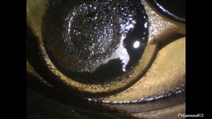 Toyota Carina профилактическая диагностика