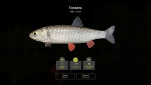 Русская рыбалка 4. р. Северский Донец. Фарм. Крафтовые вертушки 001.