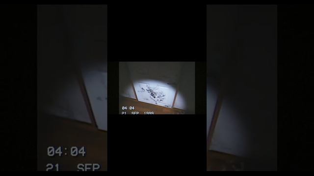 играем в september 1999 смотреть онлайн