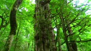 33 водопада. Долина легенд и водопадов.