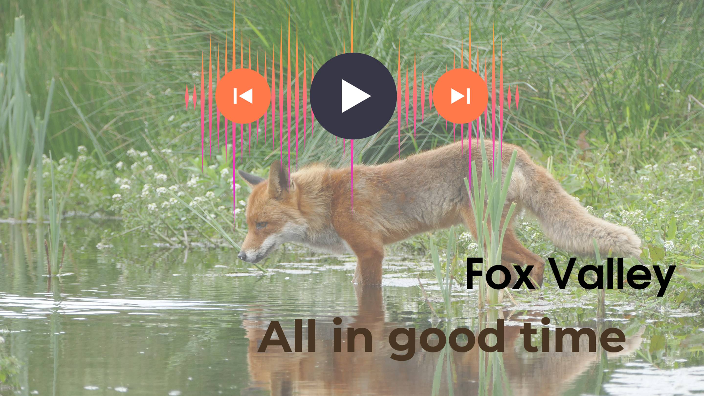 Fox Valley - All in good time  Harat's / 2016