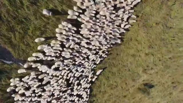 Грузия Красивая Страна  Достопримечательности Грузии, красивые места