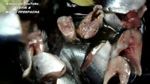 КОНСЕРВЫ из скумбрии или сельди в мультиварке .Это просто и ооочень ВКУСНО.