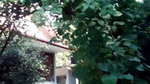 Замечательный гостевой домик в Лоо. Отзыв об отдыхе.