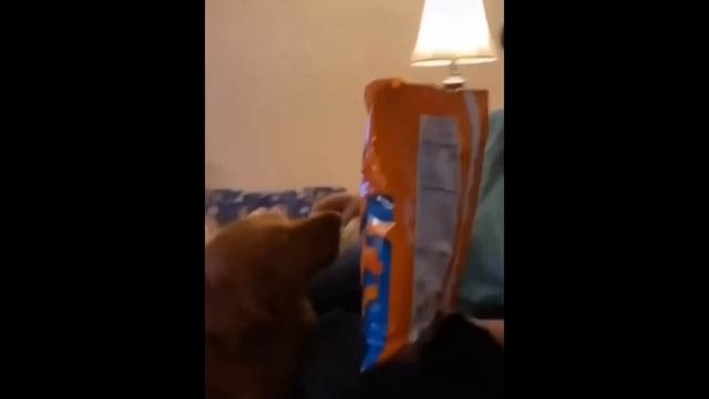????
