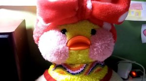 Подарила Никки питомца.