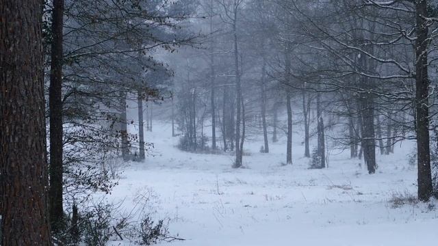 Три вида прикосновений (мубашара) к женщине, у которой месячные | Шейх Абу Яхья смотреть онлайн
