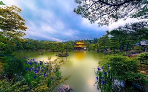 Жизнеутверждающая релакс музыка для ловли положительных и правильных состояний