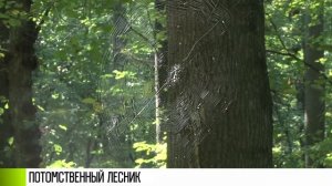 Потомственный лесник: история «хозяина леса»