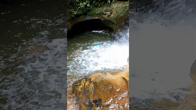 This is Blue Mountains Canyoning!