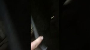 Установка брызговиков на Renault Scenic 2