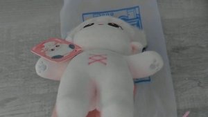 unboxing cute 20cm anime plushies from aliexpress! ?
