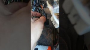 Прадо 120, начинаешь ехать глохнет