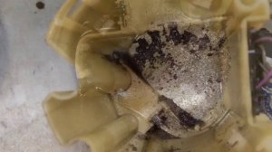 Приора троит двигатель. Устраняем